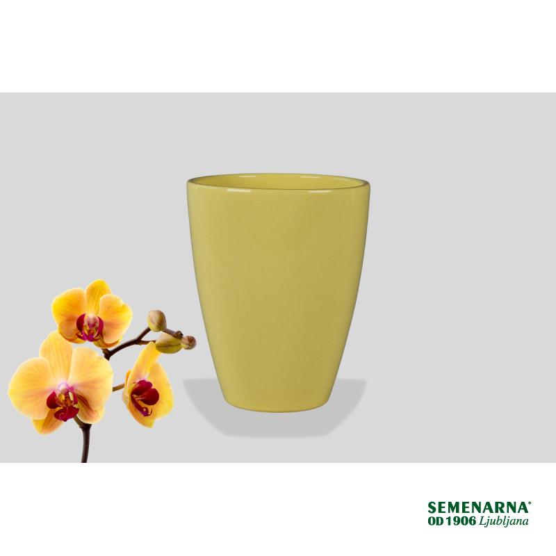 Lonček Okr. Orh 909/13 Citro 