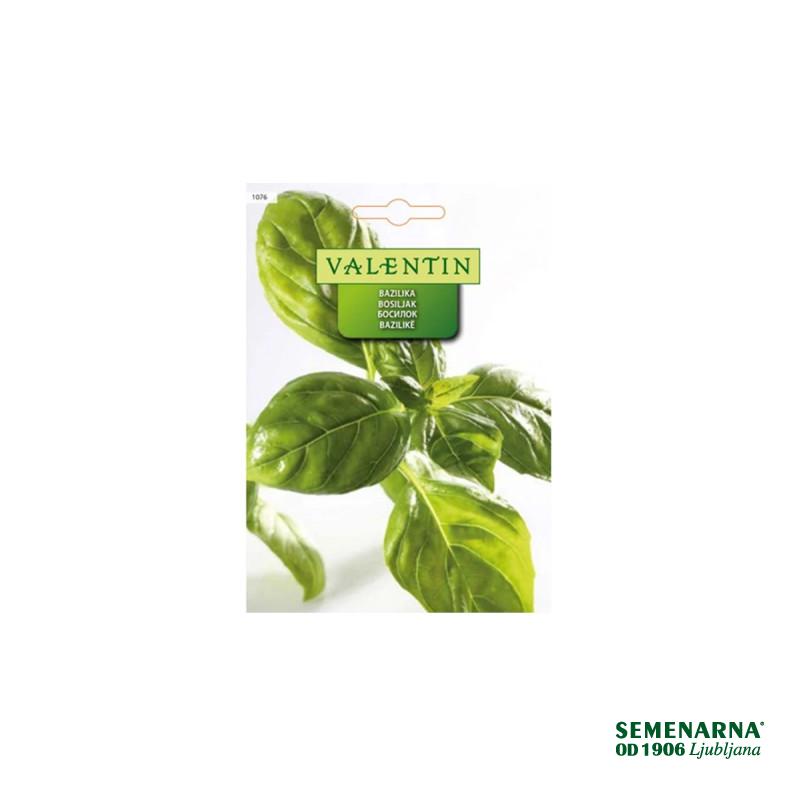 Bazilika 1076 Valentin 