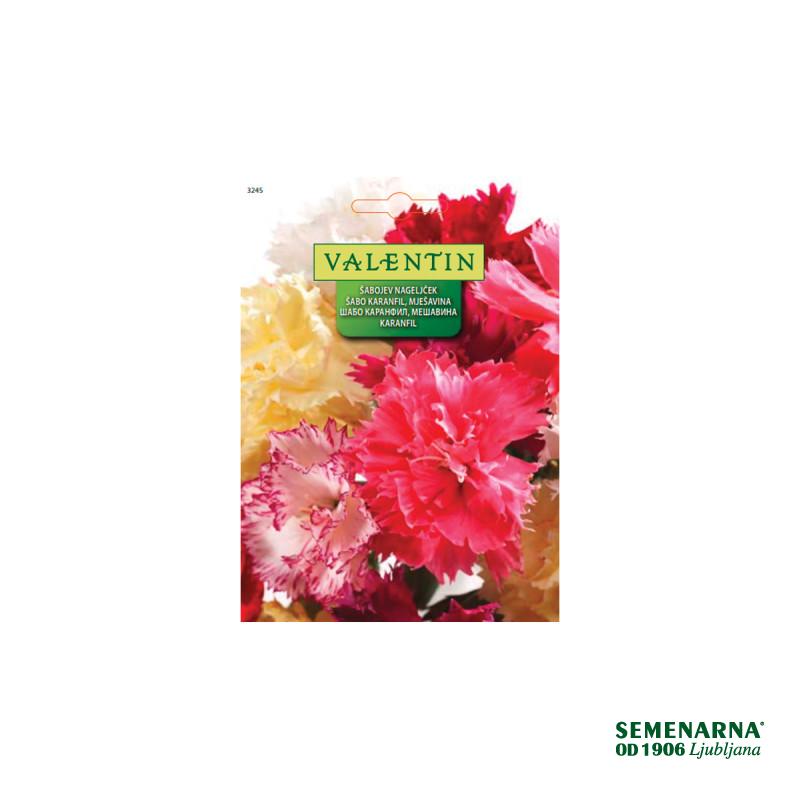 Šabojev Nageljček - Mešanica 3245 Valentin 