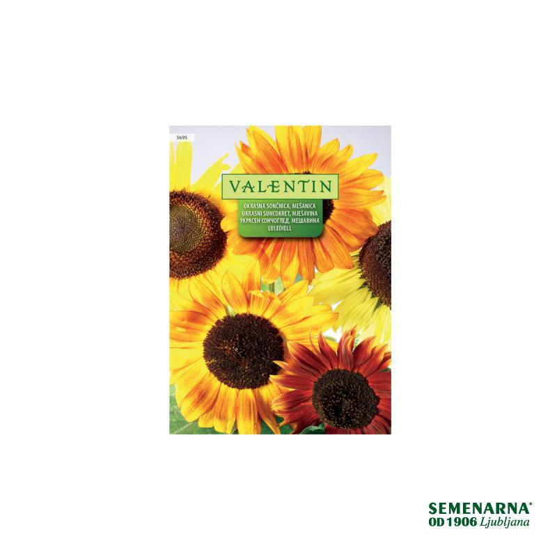 Okrasna Sončnica - Mešanica 3695 Valentin 