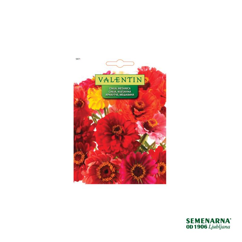 Cinija - Mešanica 5971 Valentin 