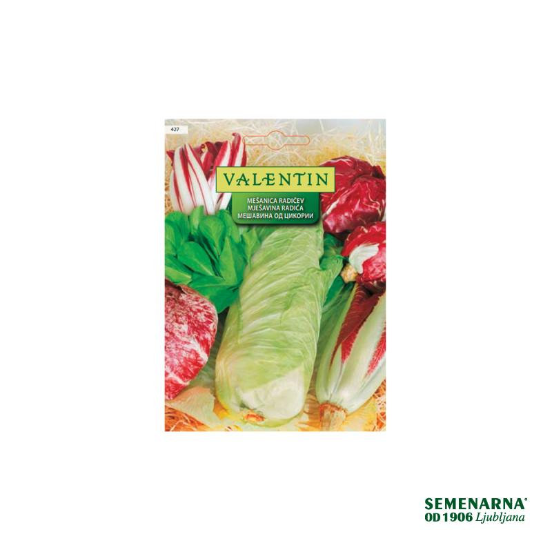 Mešanica Radičev (Cichorium Intybus) 427 Valentin 