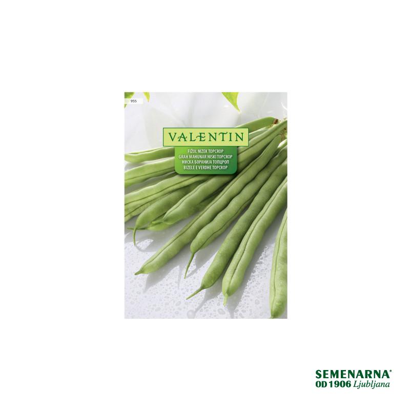 Fižol Nizek Topcrop 955 Valentin 