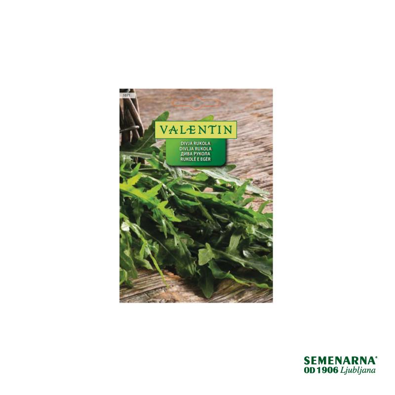 Divja Rukola (Diplotaxis Tenuifolia) 1071 Valentin 