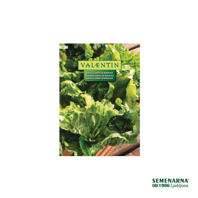 Endivija Cornet De Bordeaux 431 Valentin 