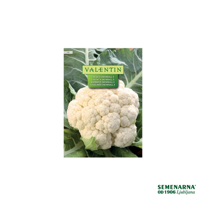 Cvetača Snowball X 10 Valentin 