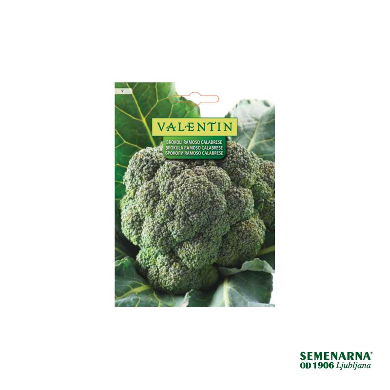 Brokoli Ramoso Calabrese 9 Valentin 