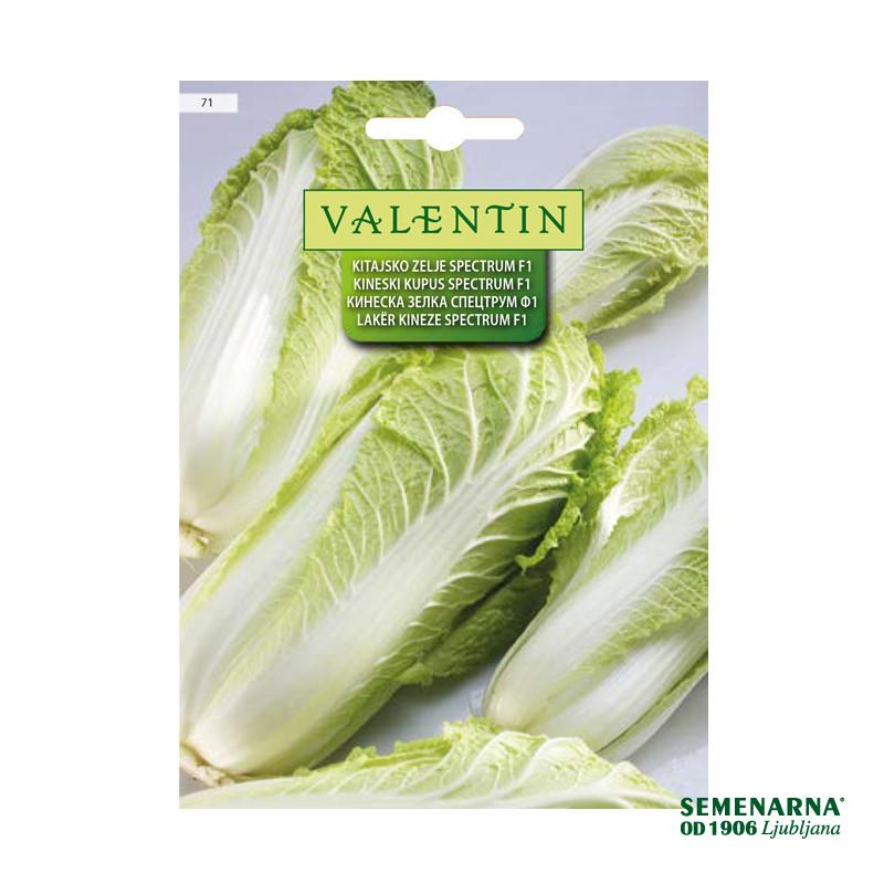 Kitajsko Zelje Spectrum F1 71 Valentin 