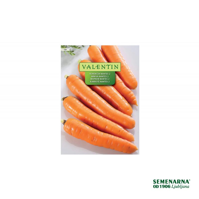 Korenček Nantes 2 189 Valentin 