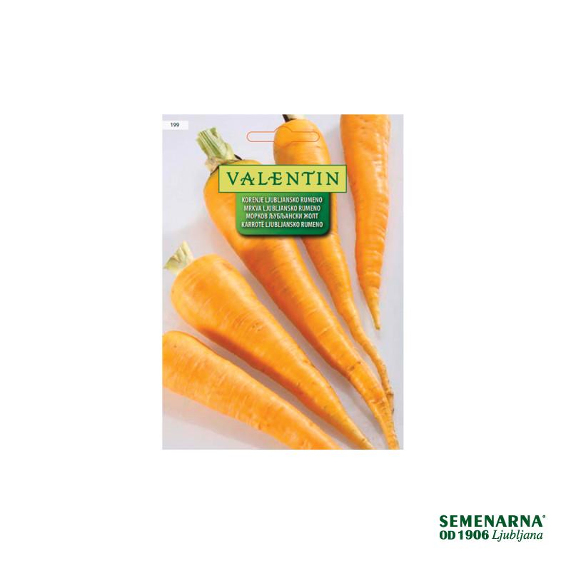 Korenje Ljubljansko Rumeno 199 Valentin 