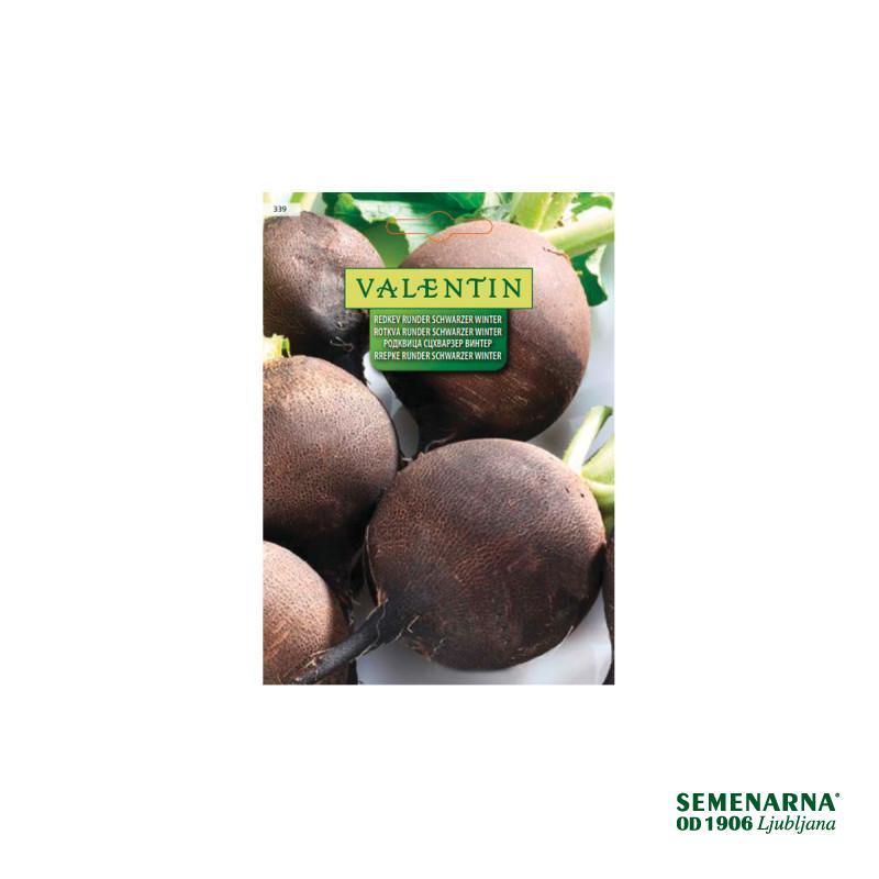 Črna Redkev Runder Schwarzer Winter 339 Valentin 