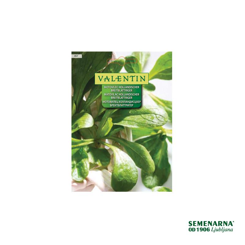 Motovilec Hollandischer Breitblattriger 457 Valentin 