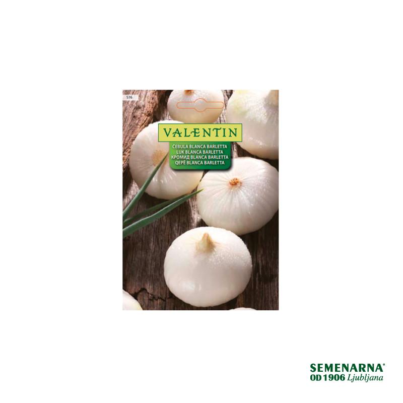 Čebula Blanca Barletta 576 Valentin 