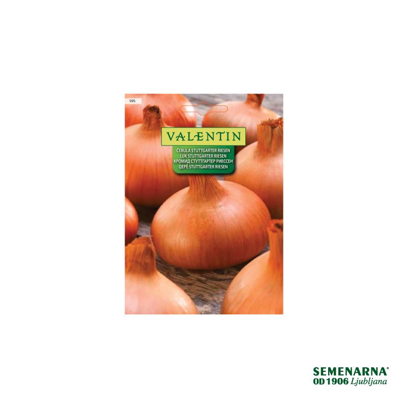 Čebula Stuttgarter Riesen 595 Valentin 