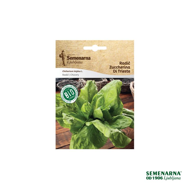 Bio Radič Zuccherina Di Trieste 424 Semenarna 