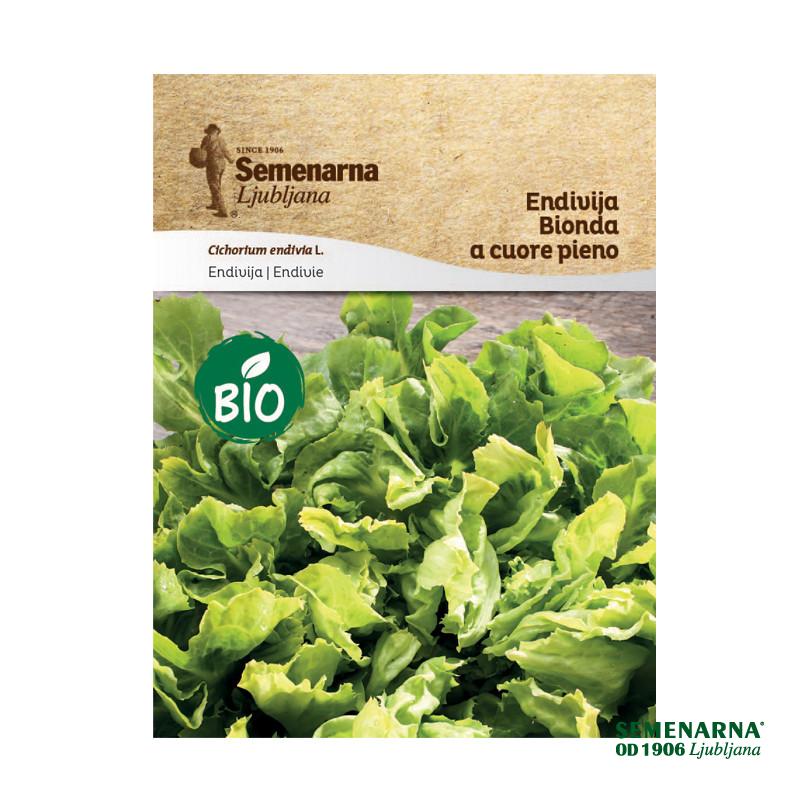 Bio Endivija Bionda A Cuore Pieno 430 Semenarna 