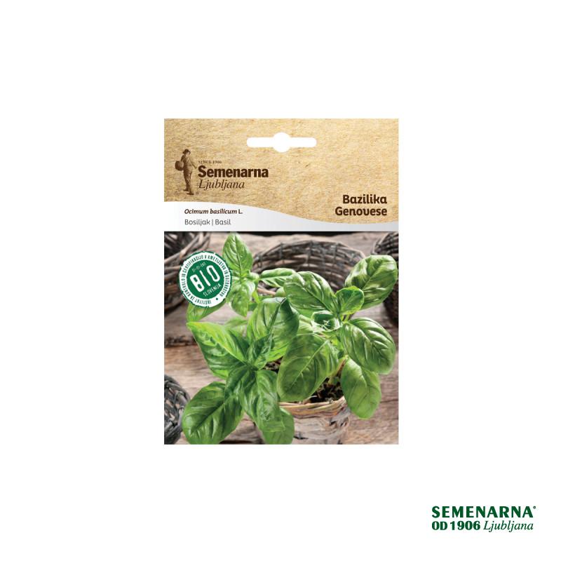 Bio Bazilika Italiano Classico 1076 Semenarna 
