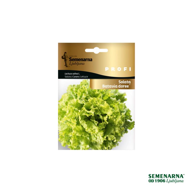 Profi Vrečka Solata Batavia Doree 
