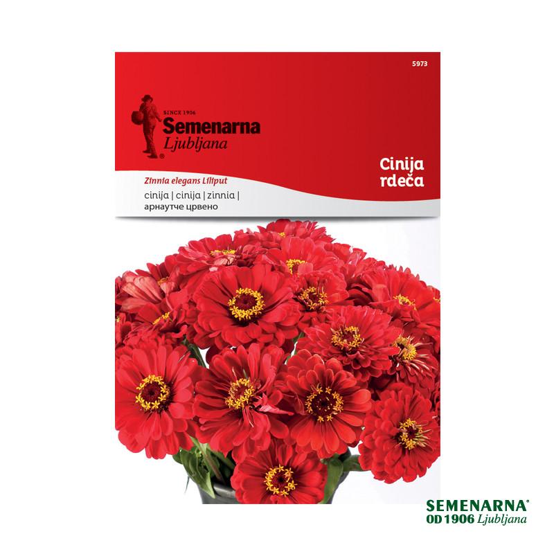 Cinija Rdeča 5973 Semenarna 