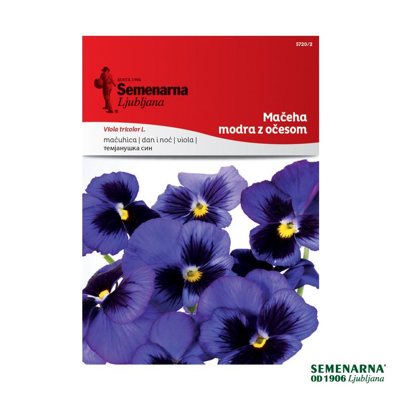 Mačeha Modra Z Očesom 5720/2 Semenarna 