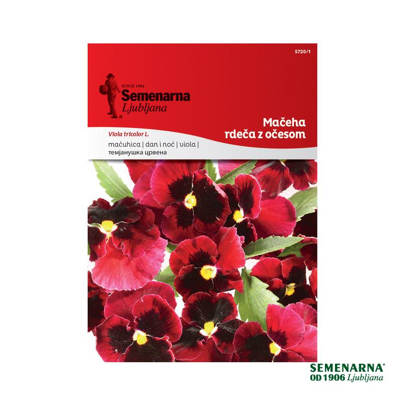 Mačeha Rdeča Z Očesom 5720/1 Semenarna 