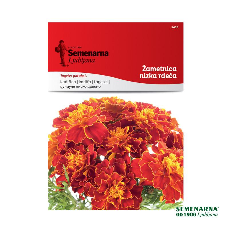 Žametnica Nizka - Rdeča (Tagetes) 5438 Semenarna 