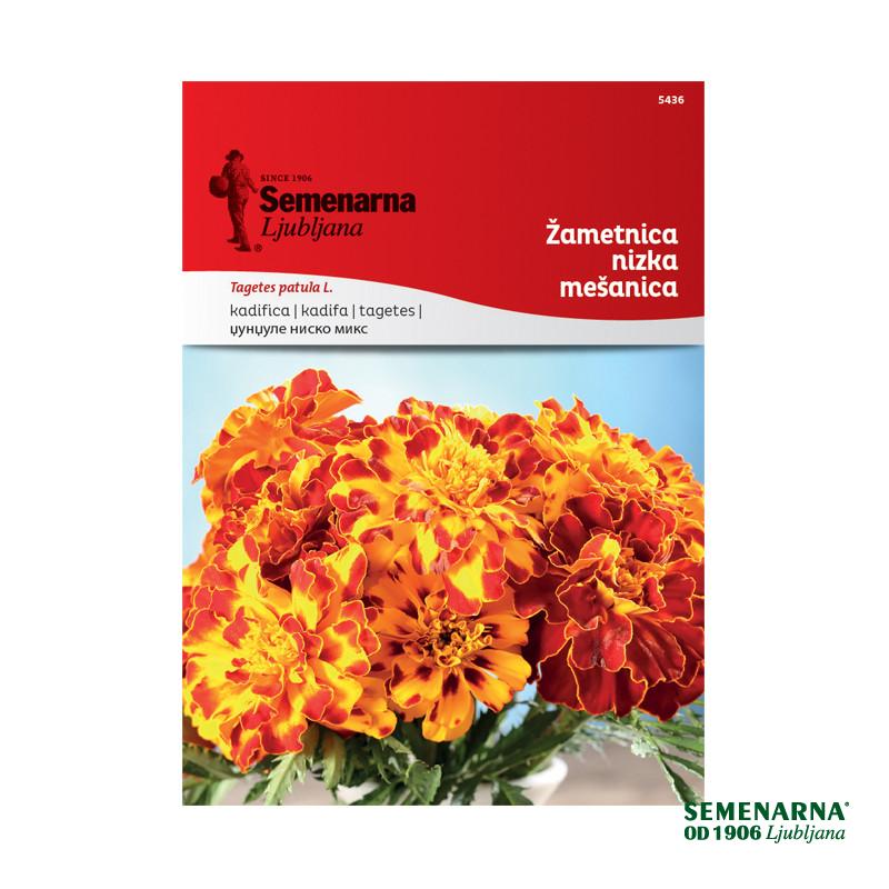Žametnica Nizka - Mešanica (Tagetes) 5436 Semenarna 