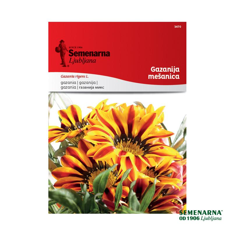 Gazanija - Mešanica 3470 Semenarna 