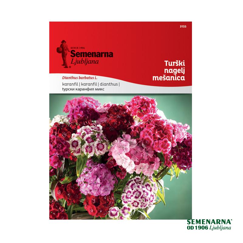 Turški Nagelj - Mešanica 3133 Semenarna 