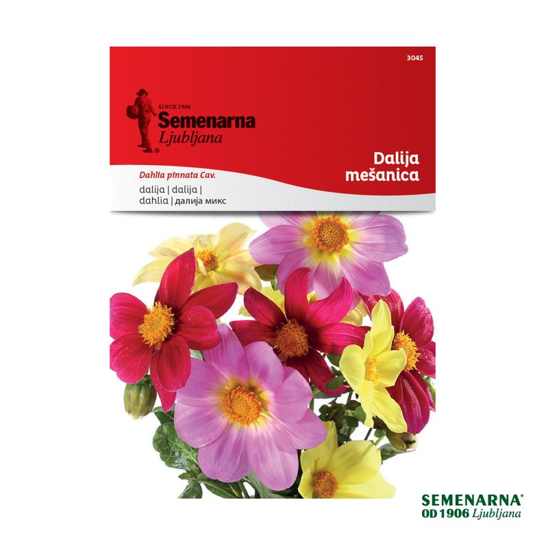 Dalija - Mešanica 3045 Semenarna 