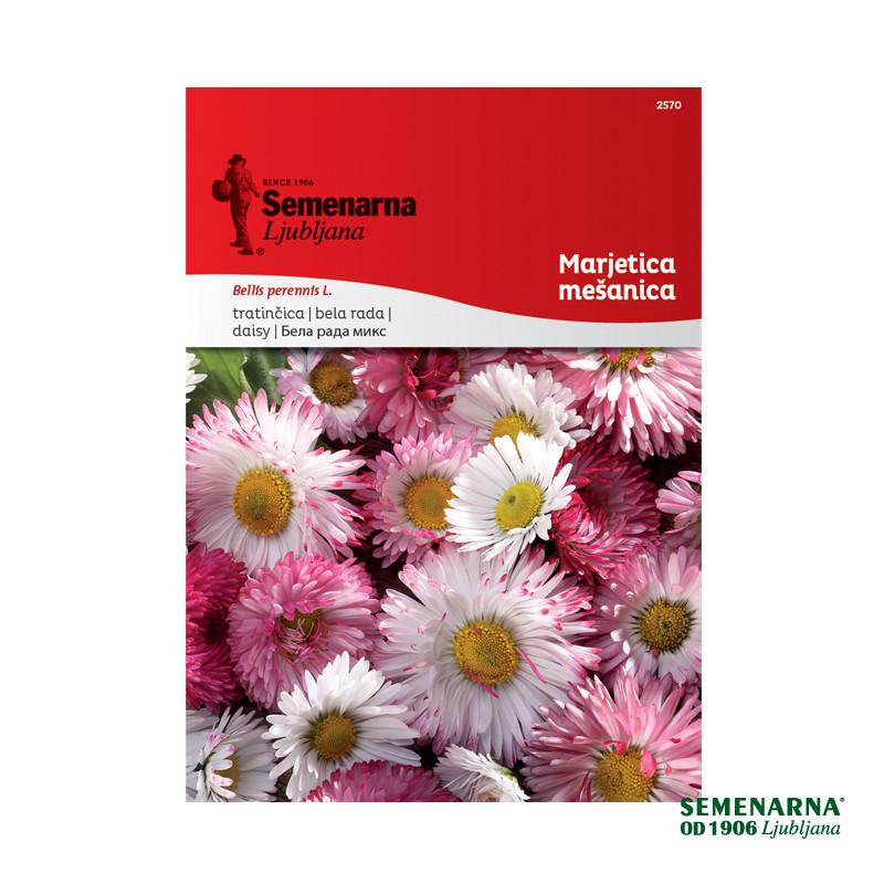 Marjetica - Mešanica (Bellis Perennis) 2570 Semenarna 