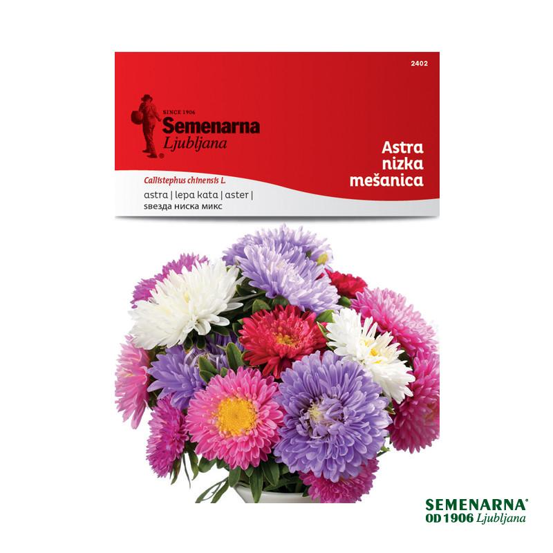 Astra Nizka - Mešanica 2402 Semenarna 