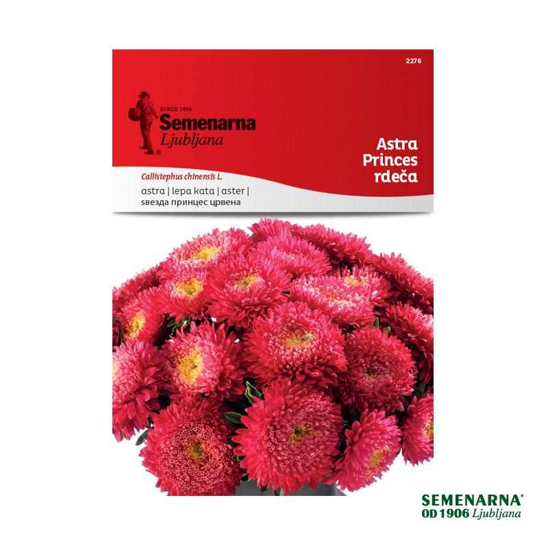 Astra Princes - Rdeča 2276 Semenarna 