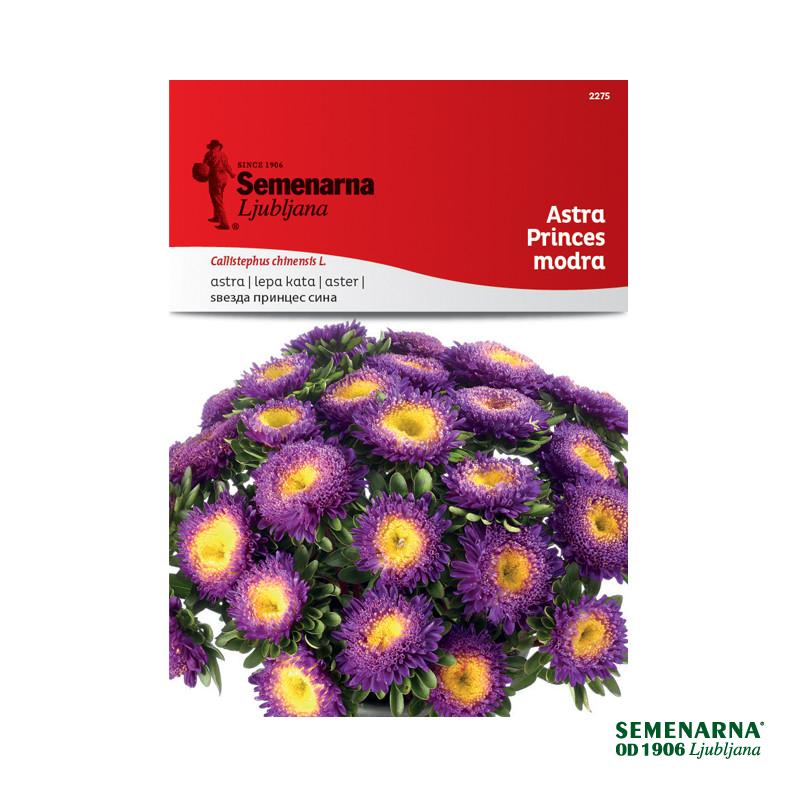 Astra Princes - Modra 2275 Semenarna 