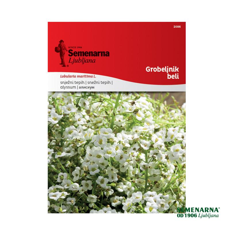Grobeljnik Beli 2086 Semenarna 