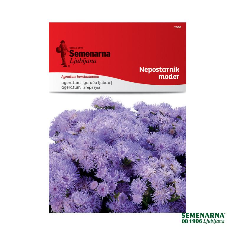 Nepostarnik Moder 2036 Semenarna 