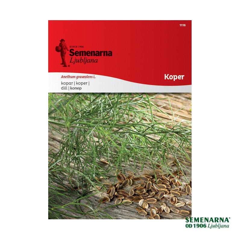 Koper 1116 Semenarna 