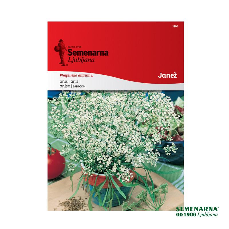 Janež 1101 Semenarna 