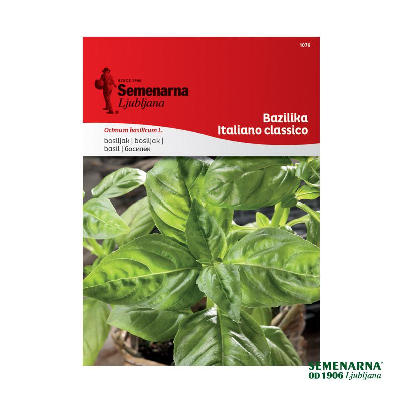 Bazilika Italiano Classico 1076 Semenarna 
