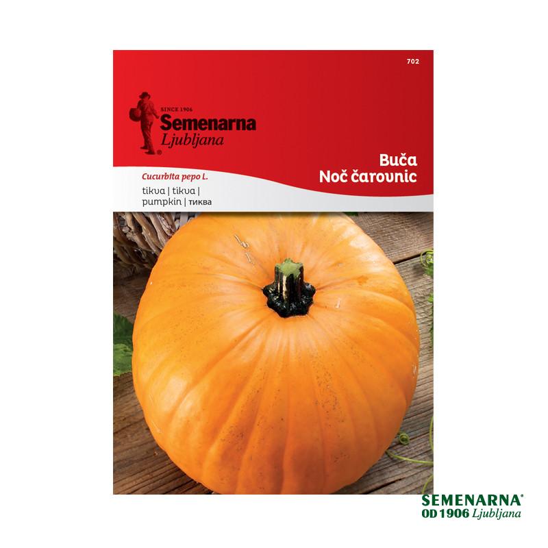 Buča Noč Čarovnic 702 Semenarna 