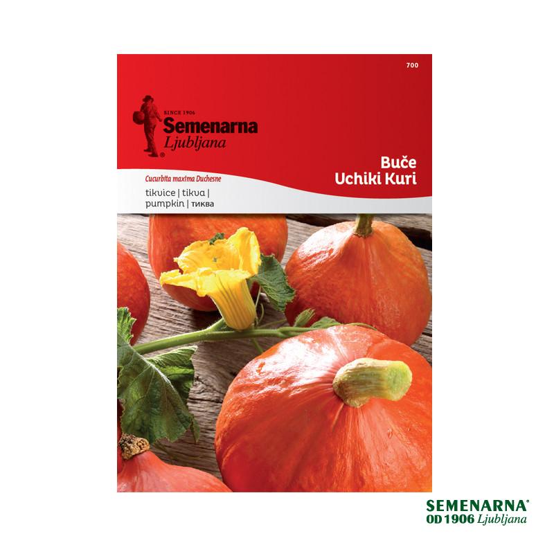 Buče Uchiki Kuri 700 Semenarna 