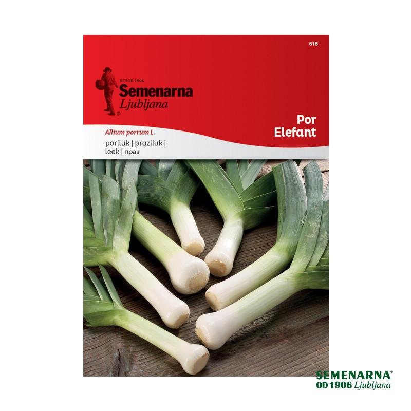 Por Elefant 616 Semenarna 