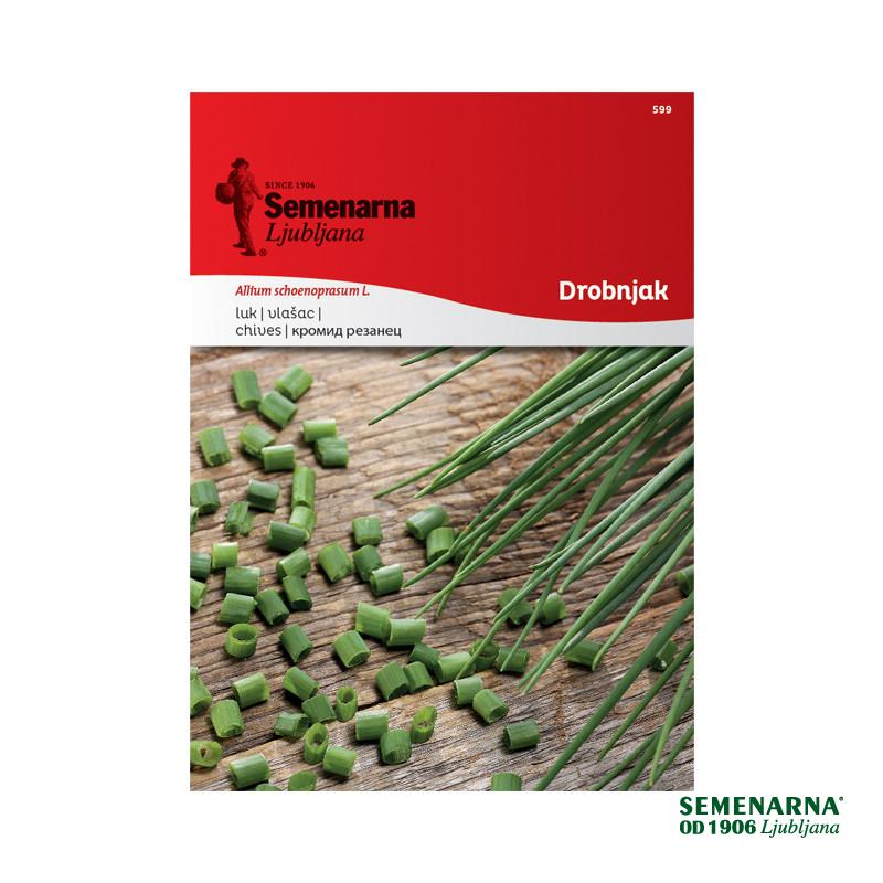 Drobnjak Medium Leaf 599 Semenarna 