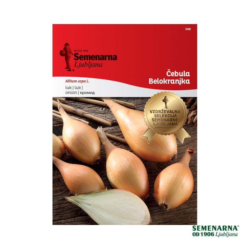 Čebula Belokranjka 598 Semenarna 
