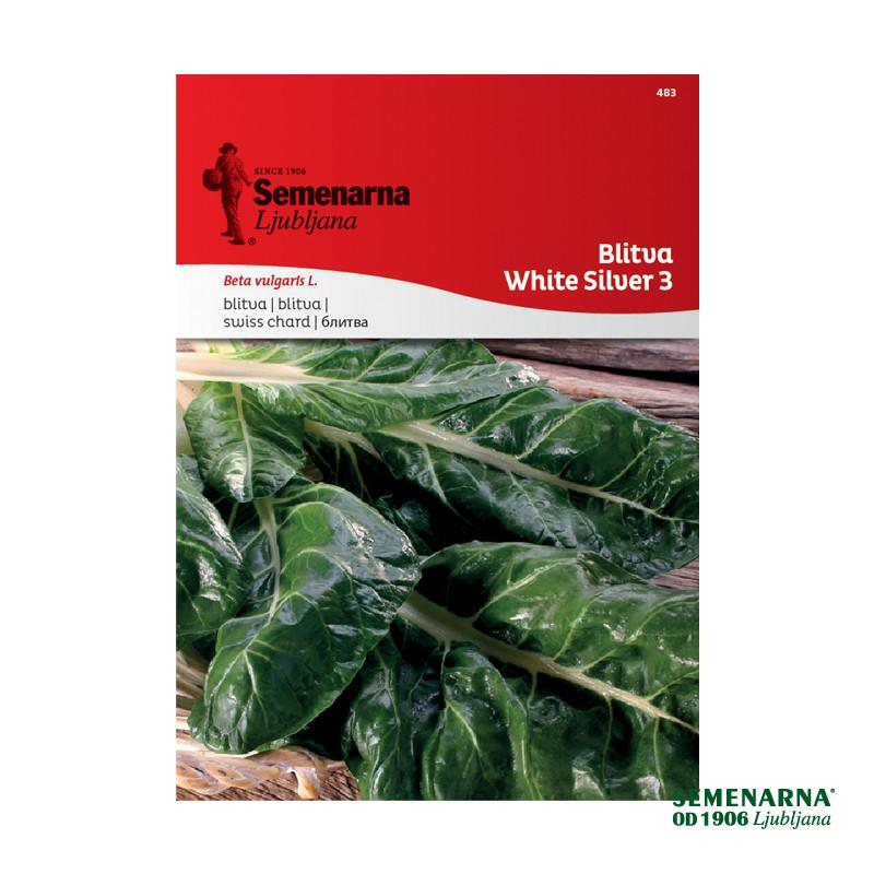Mangold White Silver 3 483 Semenarna 