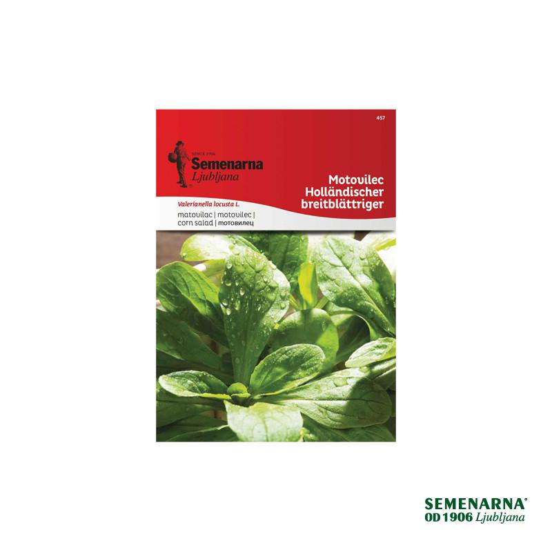 Motovilec Hollandischer Breitblattr. 457 Semenarna 