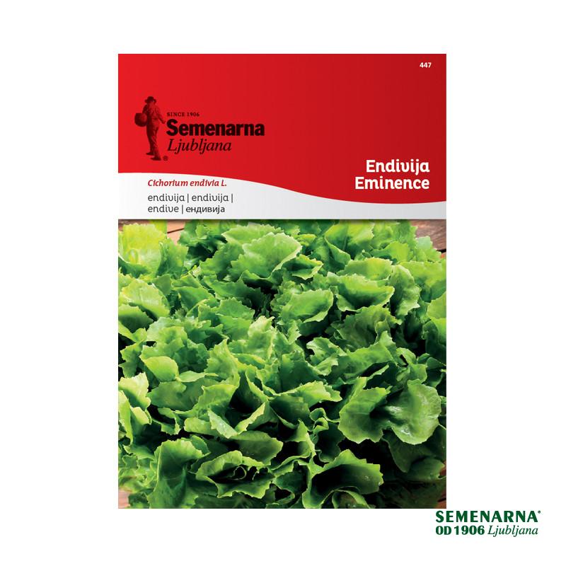 Endivija Eminence 447 Semenarna 