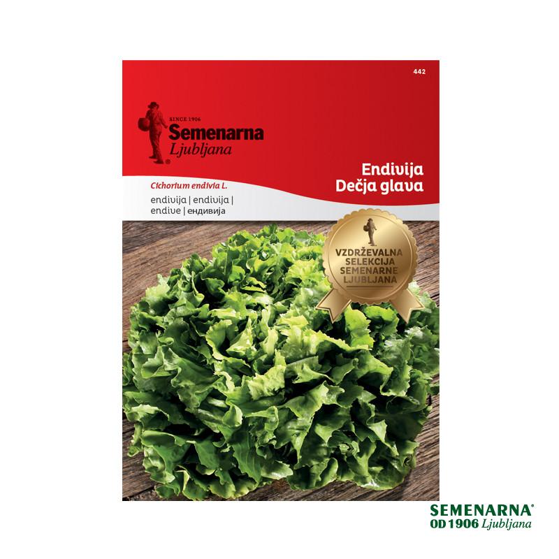 Endivija Decja Glava 442 Semenarna 