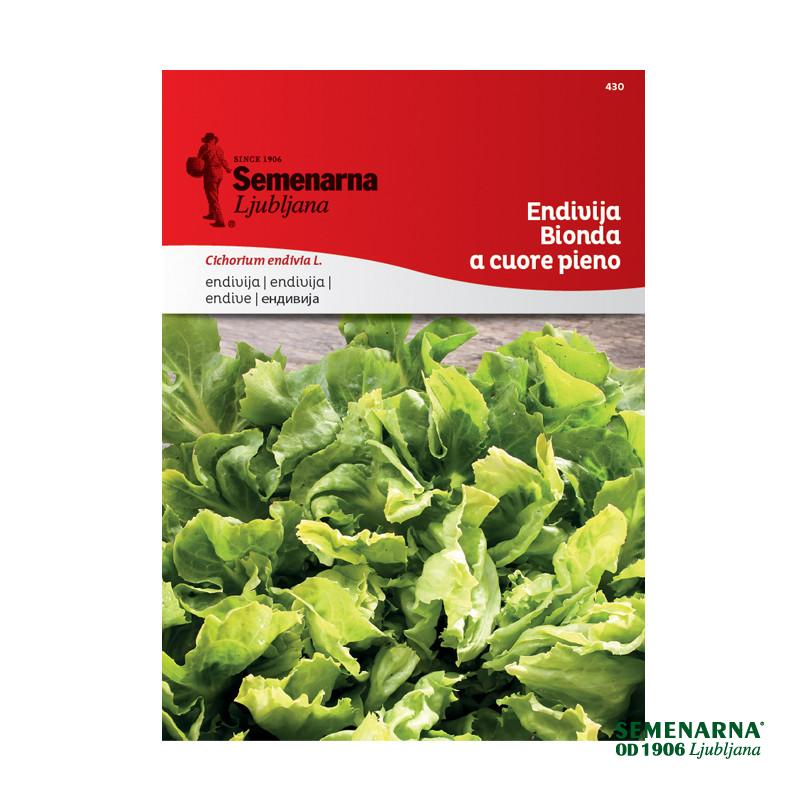 Endivija Bionda A Cuore Pieno 430 Semenarna 