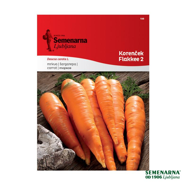 Korenček Flakkee 2 198 Semenarna 
